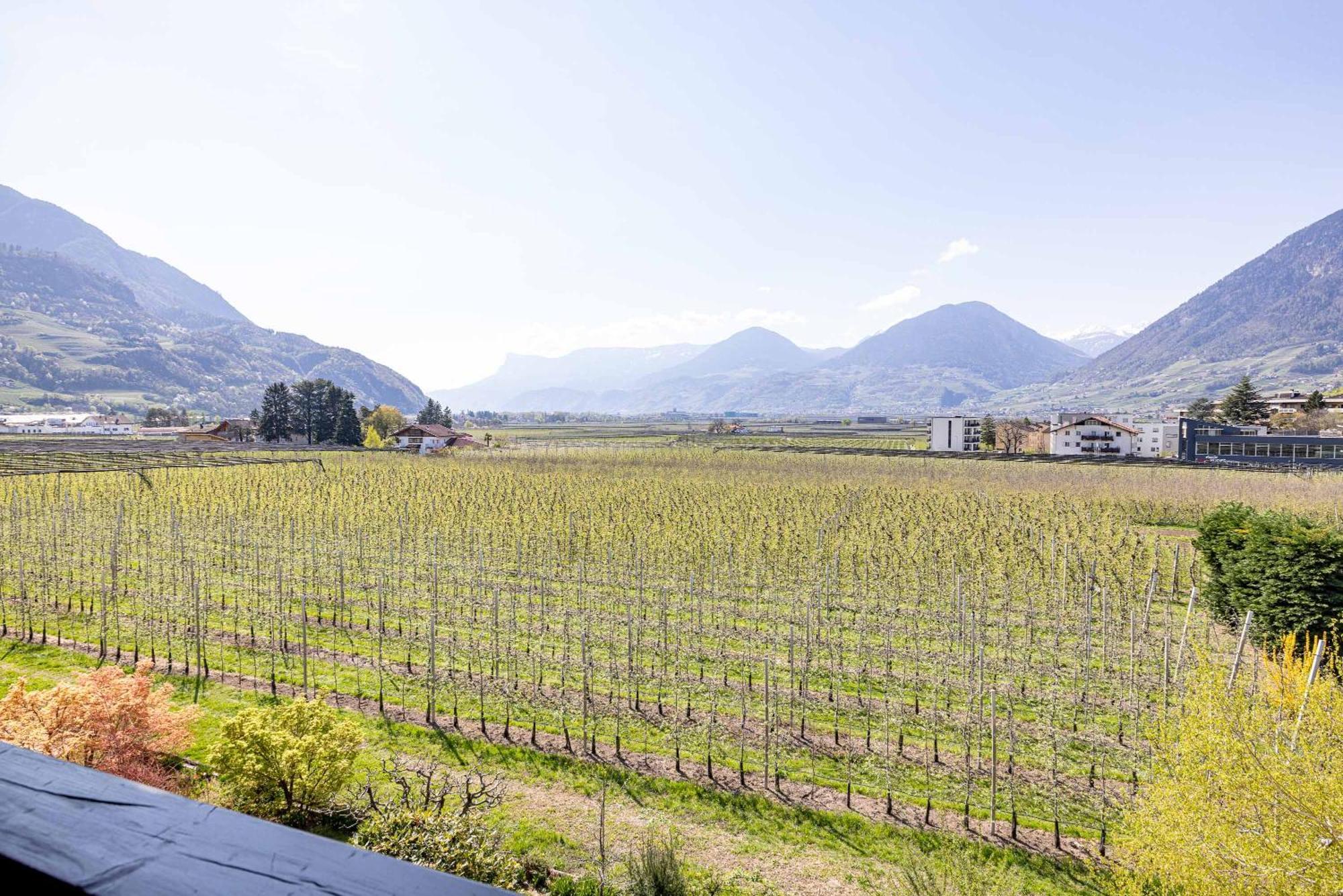 Residence Pollingerhof Merano Luaran gambar
